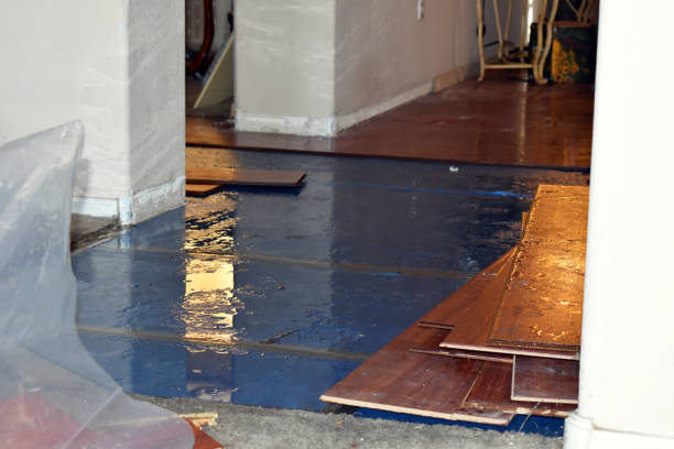 Professional Water Damage technician working in Luther, OK